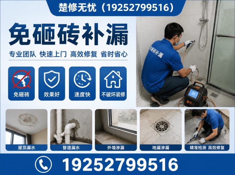东西湖区渗漏检测展示图